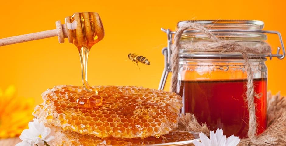 Med, prodej, kvalita, včely, zdraví, antibakteriální, protizánětlivý, Kratom World