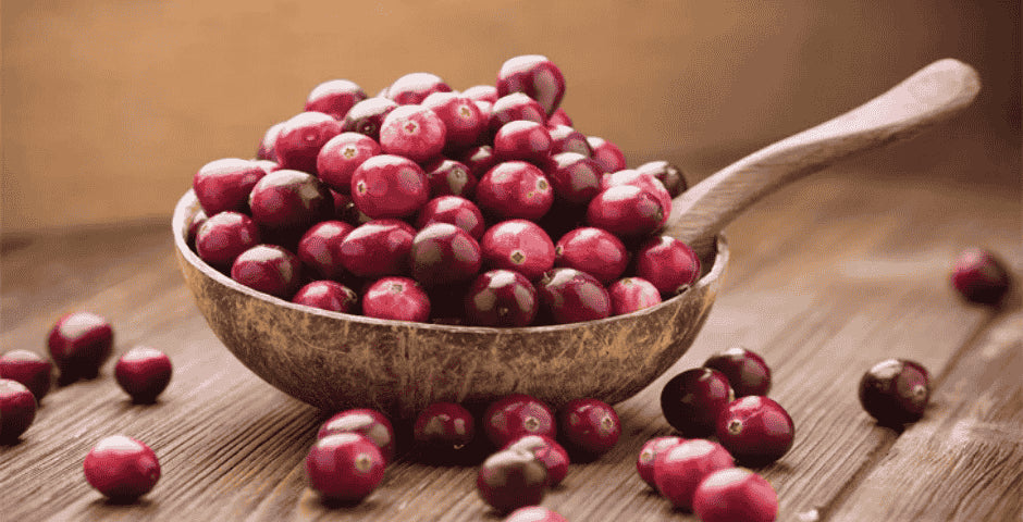 Přírodní doplněk brusinkový extrakt s významným efektem kratomworld