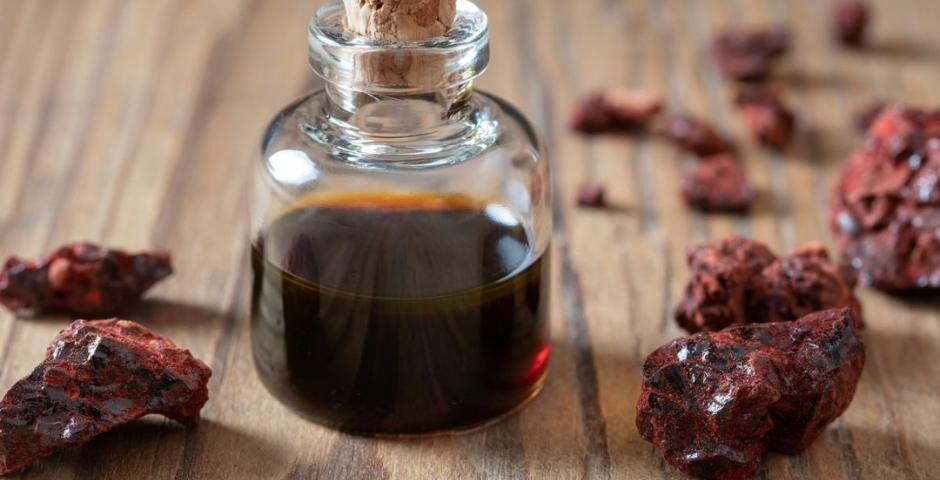 draci krev pm kapky extrakt kratomworld prodej