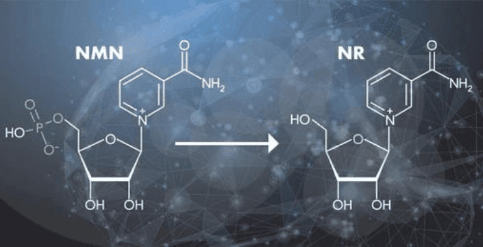 NMN, Nikotinamidmononukletid, zdraví, věk, mládí, vitamín, prodej, kratomworld