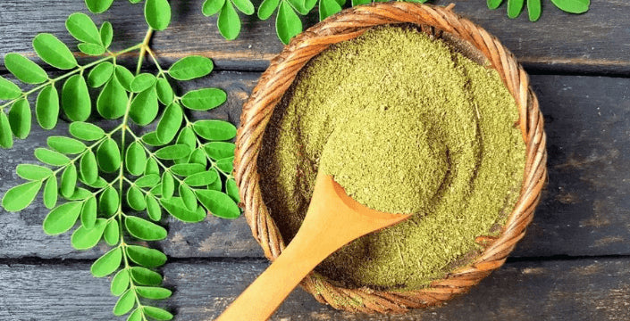 Moringa Olejodárná Prodej Kratom World Imunita Zdraví
