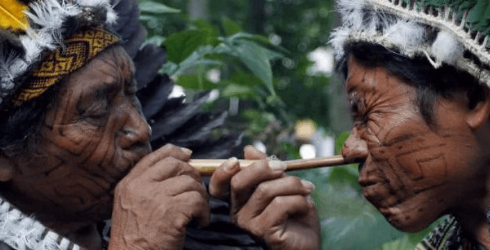 Kvalitní Rapé Kratom World Prodej Rapé Nicotiana Rustica Tradice