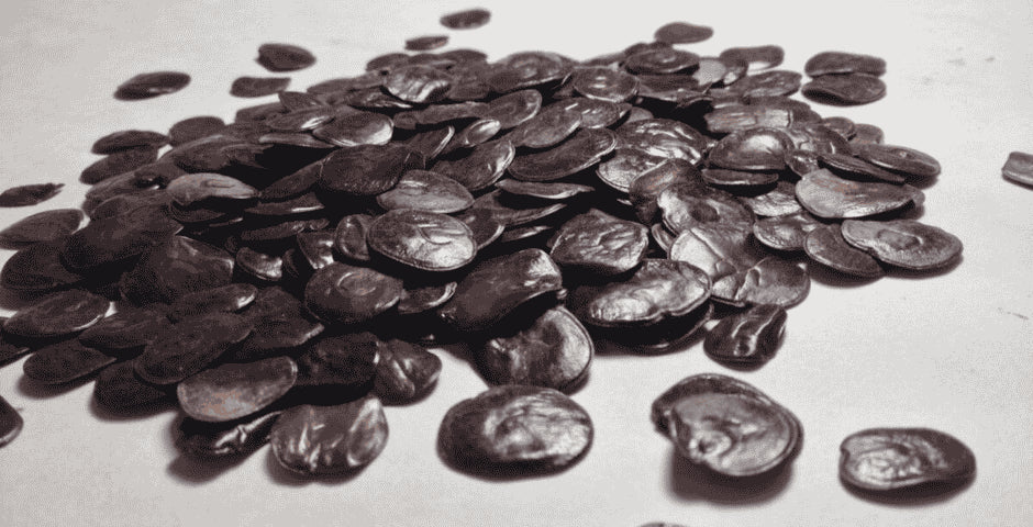 yopo seminka kratom world clanek vyuziti historie pěstování