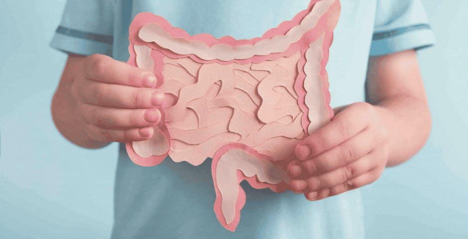 zenska probiotika zdravi kratomworld clanek