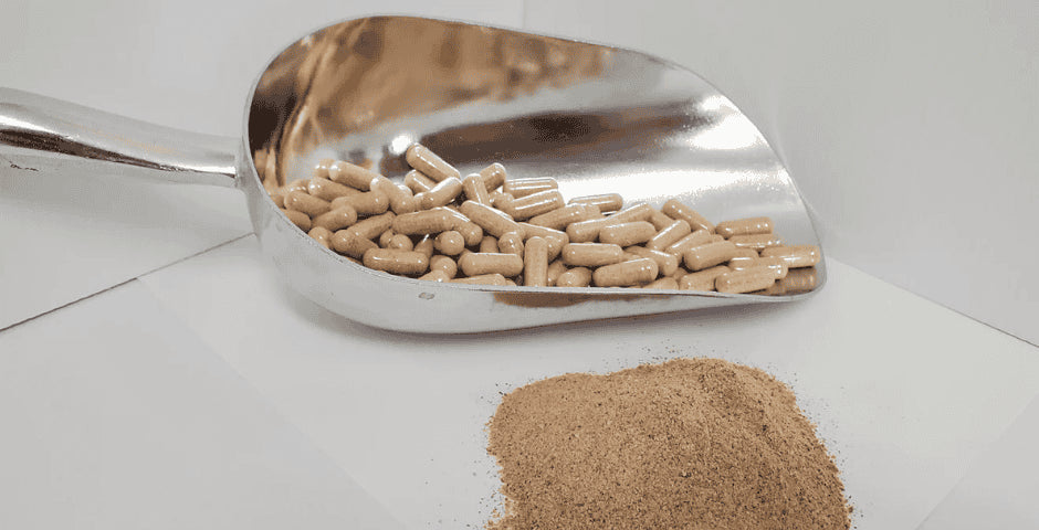 Akuamma zmirneni bolesti horecky clanek kratom world