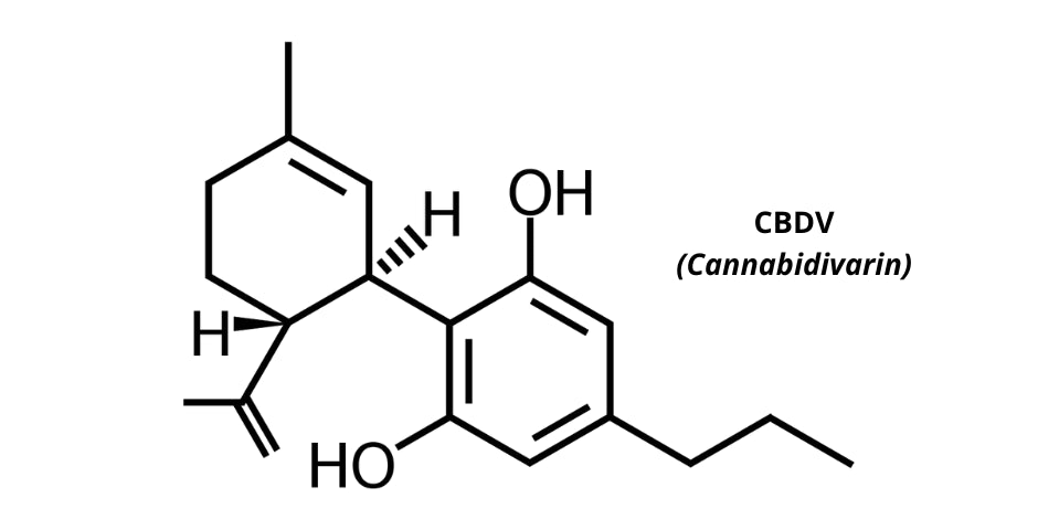 CBDV, CBD, prodej, kvalita, stres, uvolnění, relax, autismus, epilepsie, kratomworld, prodej