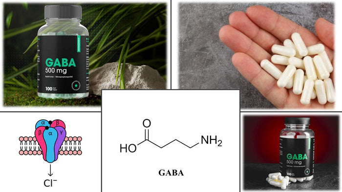 GABA_koláž kratomworld clanek