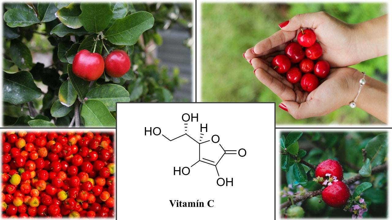 acerola koláž kratomworld