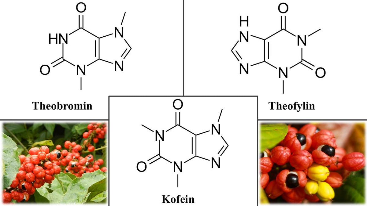 guarana koláž vědecký článek kratom world prodej