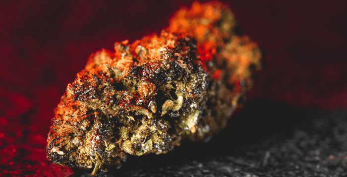 HHC Květy a Účinky HHC Kvalitní HHC Prodej Praha Plzeň Brno