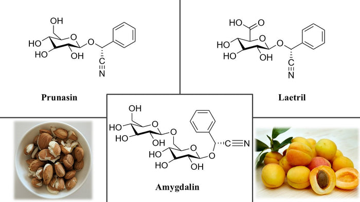 Amygdalin Extrakt z meruňkových jader vedecky clanek kratomworld