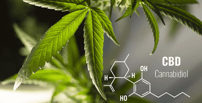 kratom world cbd soli koupelové