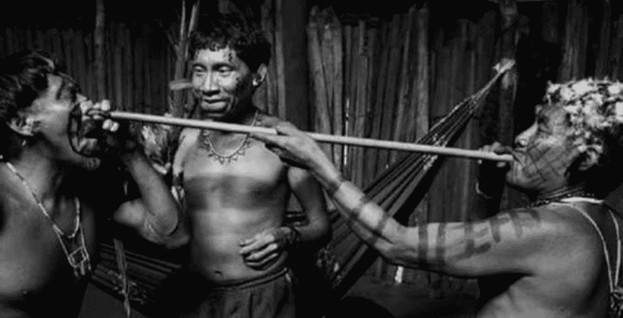 Rapé cumaru, kvalita, prodej, energie, rituál, kratomworld