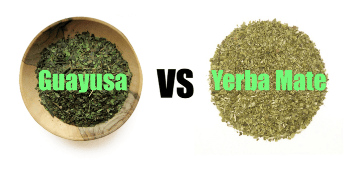 Kratom World Yerba Maté Guayusa účinky rozdíly kofein energie prodej kvalitní čaj