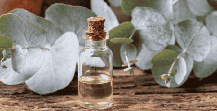 medikované oleje na bolest hlavy svalova bolest prodej kratom world