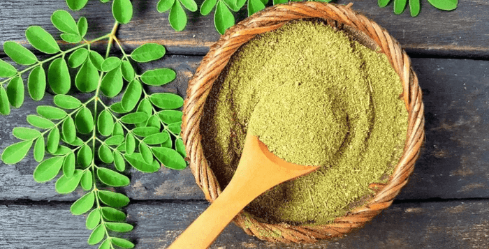 Moringa Olejodárná Prodej Kratom World