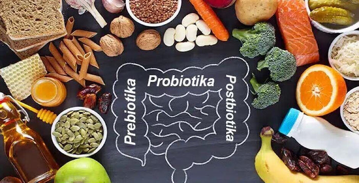 probiotika, postbiotika, kvalita, nemoc, zdraví, antibiotika, kratom world, prodej