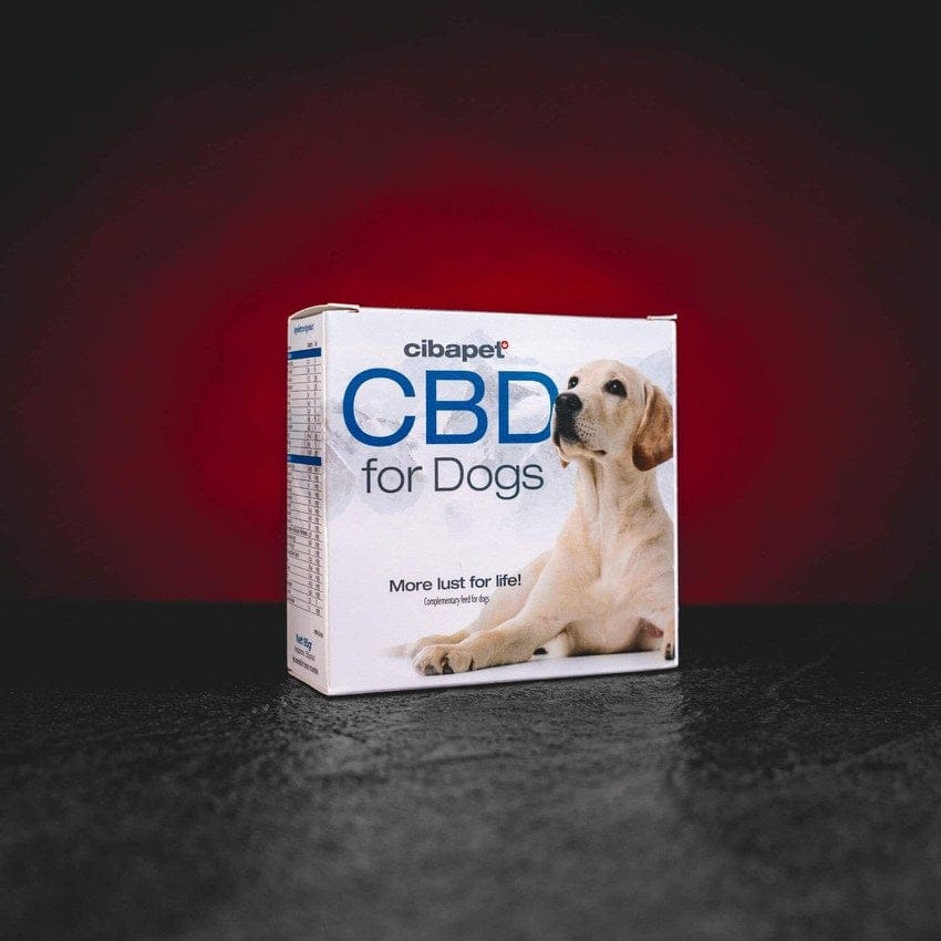 CBD pastilky pro psy CBD pastilky pro psy s nepsychoaktivním CBD, přírodní doplněk stravy pro podporu klidu, pohody, zdravé srsti a pokožky, ochucené pastilky bez terpenů, vhodné pro každodenní podávání domácím mazlíčkům