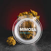 10-OH HHC Květy Mimosa 10% Kratom World Kvalitní 10-OH HHC Prodej Praha Květy účinky Praha Brno Ostrava